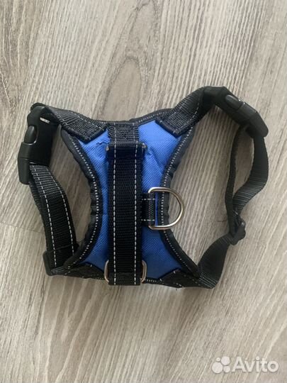 Принадлежности доя собак