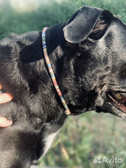 Ошейник для адресника For Dogs&Cats ручная работа