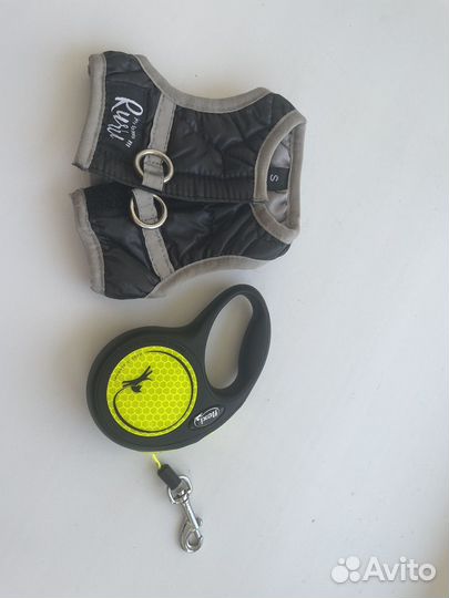 Шлейка и поводок для маленьких пород
