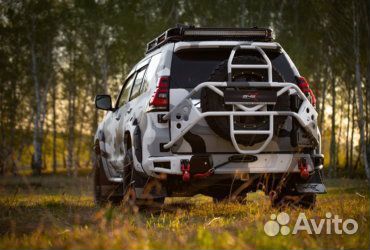 Калитка под запаску для Тойота Прадо 150 BMS alfa