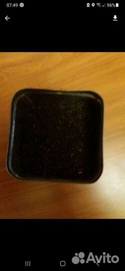 Железная банка с чаем