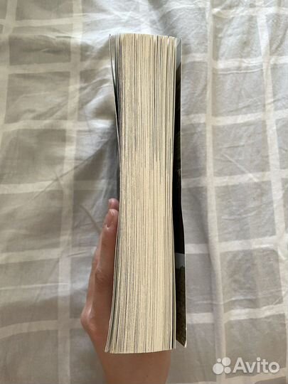 Выгон Эми Липтрот