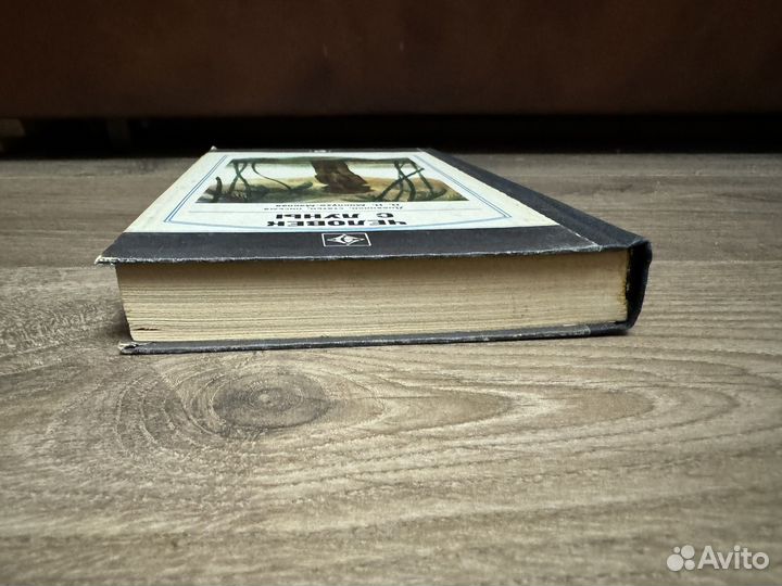 Человек с луны - Н.Н. Миклухо - Маклая 1982 г