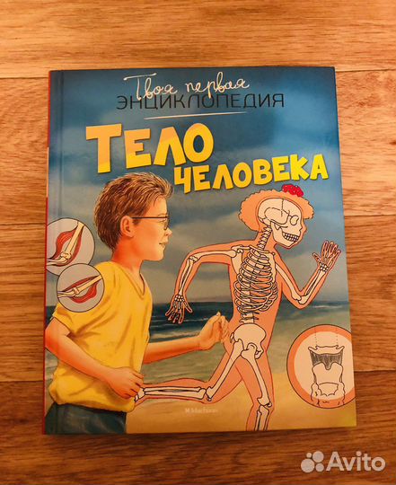 Тело человека