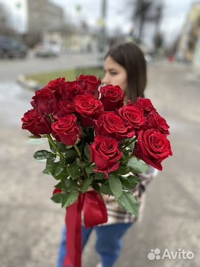15 роз Эквадор 50 см