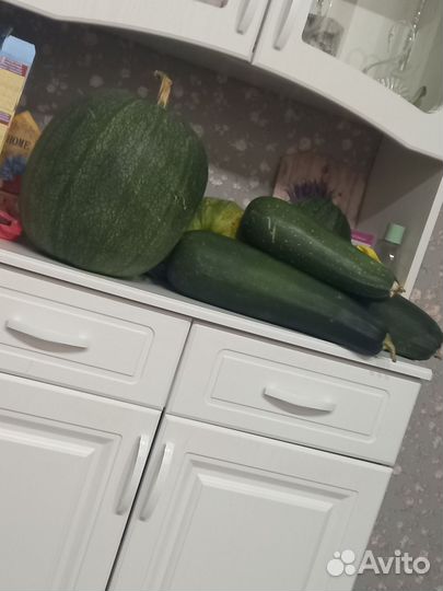 Кабачки свежие