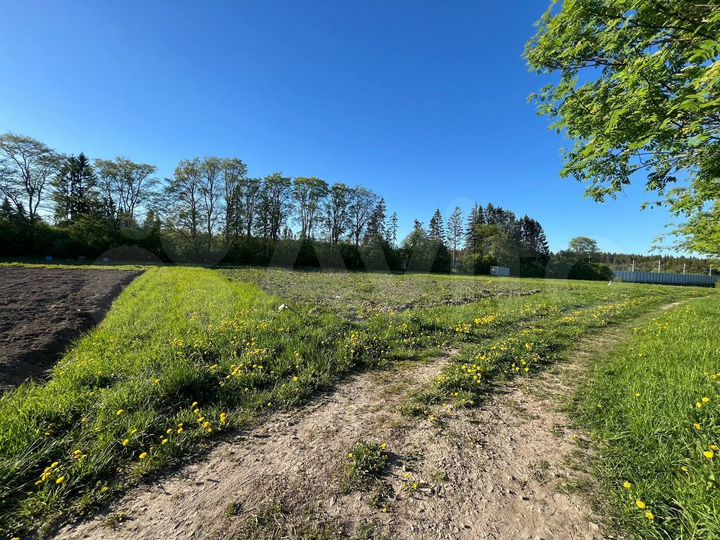 Участок 15 сот. (ИЖС)