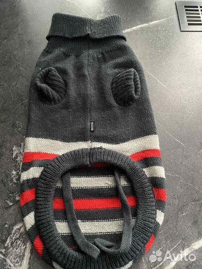 Одежда для собачки