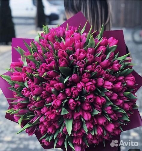 Тюльпаны цветы с беспл. Доставкой