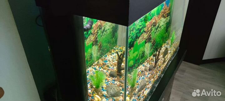 Аквариум 80х34.Высота 60 с крышкой. Крышка съёмная