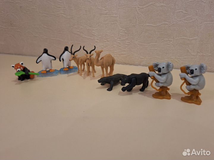 Киндер натунс 2024 обмен