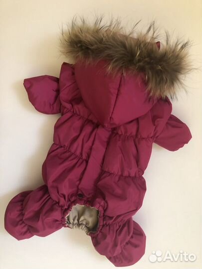 Одежда для животных