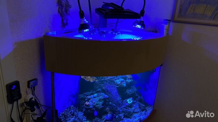 Морской аквариум угловой