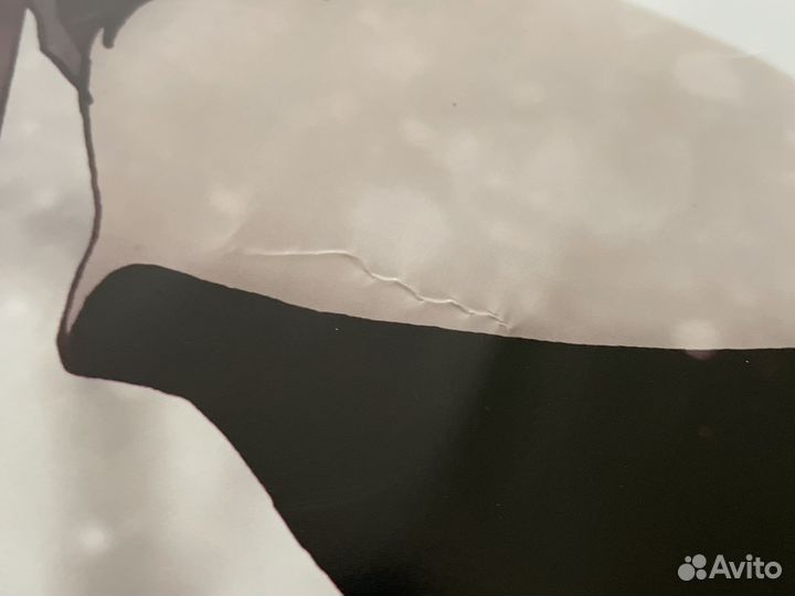 Постер Хицугая Тоусиро (Bleach)