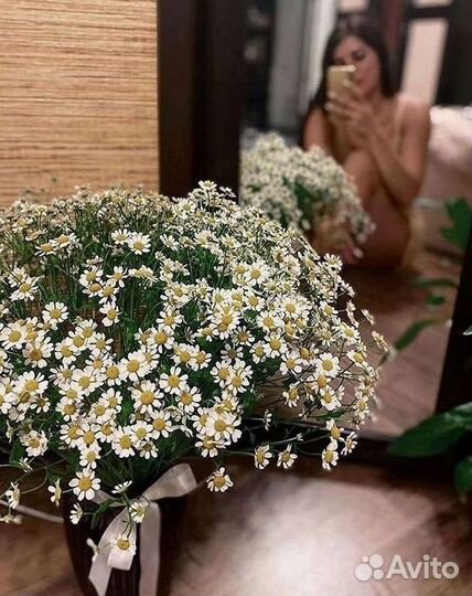 Ромашки Пионы Розы Доставка