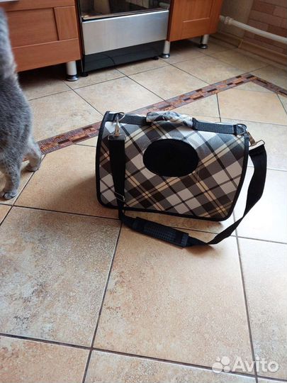 Переноска для кошек бу
