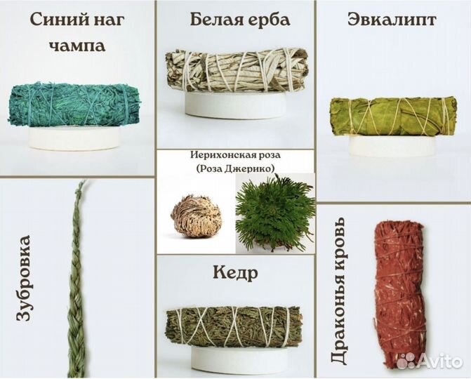 Иерихонская роза средние пучки для перепродажи