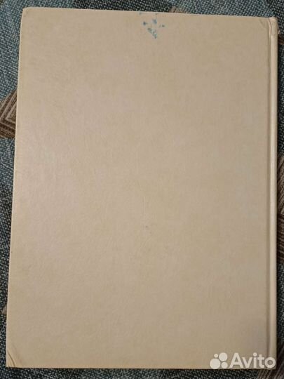 Лицевая Библия