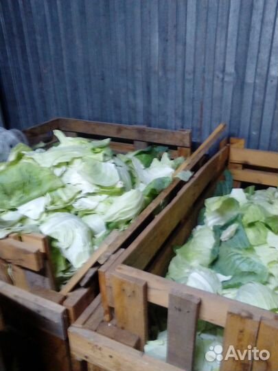 Корм для скота, птицы. без оплаты