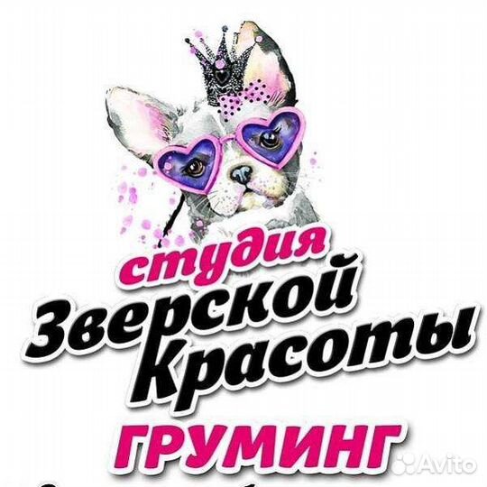 Стрижка собак