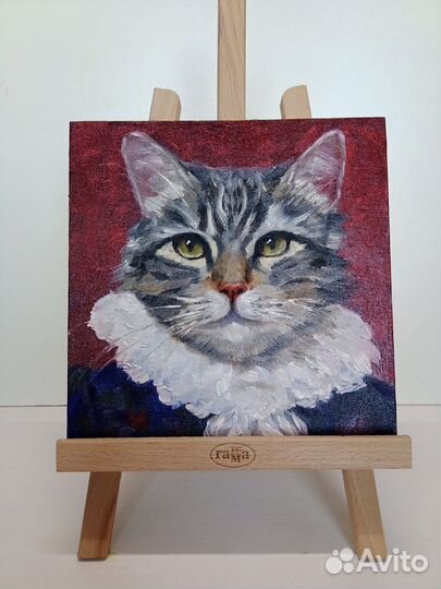 Кот в костюме портрет картина маслом 20 х 20 см