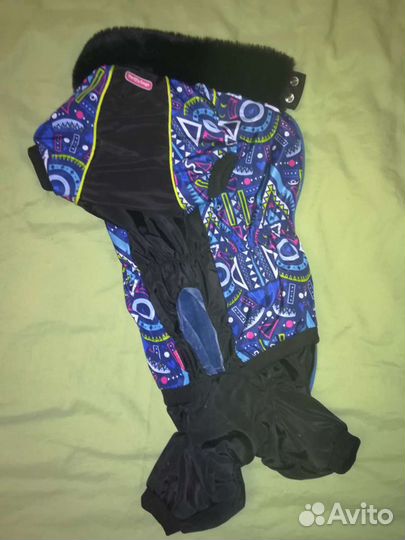 Одежда для маленьких собак