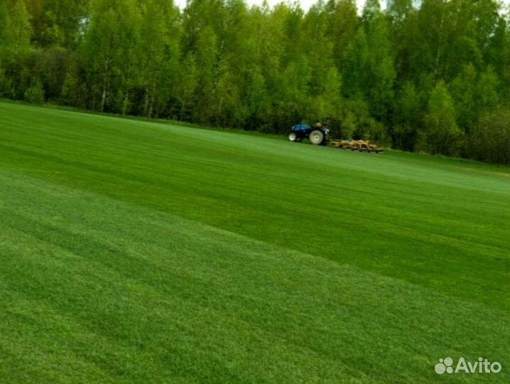 Рулонный газон 
