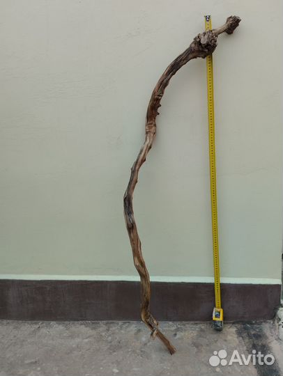 Виноградная лоза, очищенная коряга