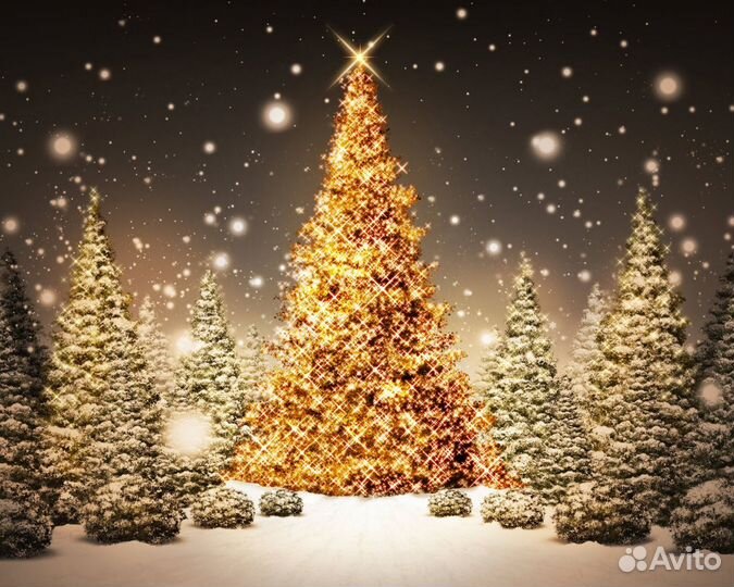 Отдых и рыбалка на Селигере