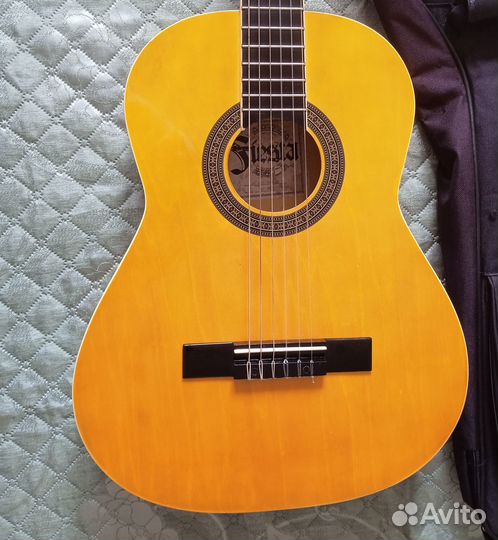 Классическая гитара Aria Fiesta 3/4 + чехол