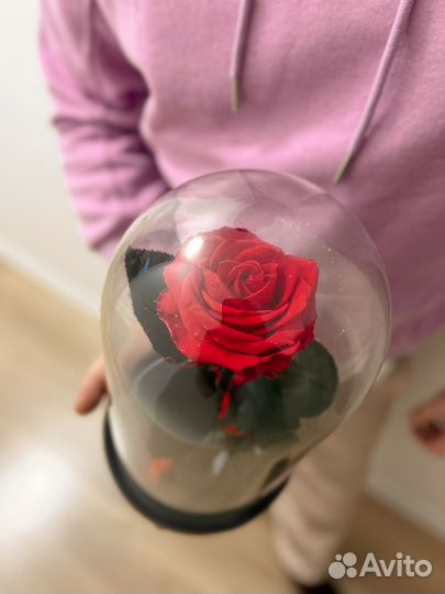 Роза в колбе