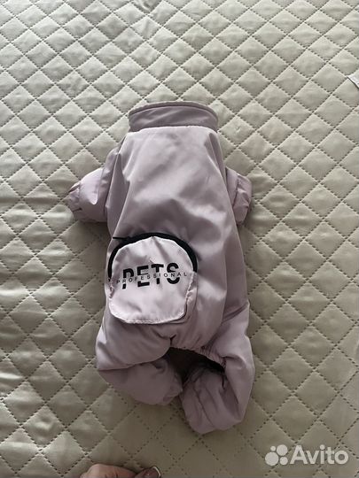 Комбинезон для маленькой собаки