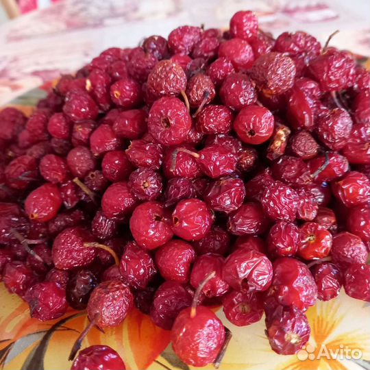Шиповник сухой цена за 1 кг