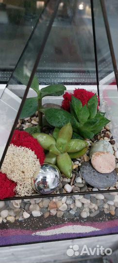 Флорариум с суккулентами