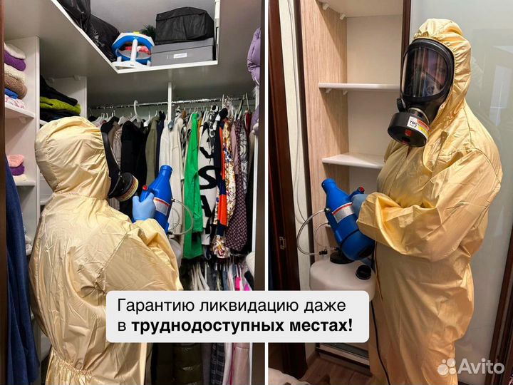 Уничтожение клопов. Уничтожение тараканов, плесени