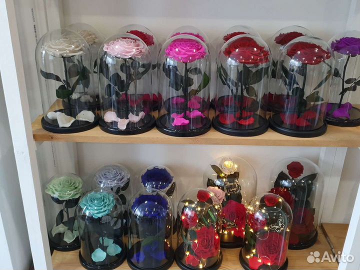 Вечная Роза в колбе красная в ассортименте