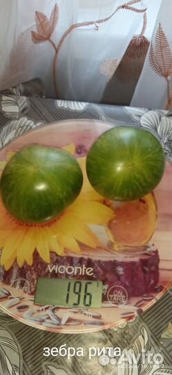 Семена сортовых коллекционных томатов