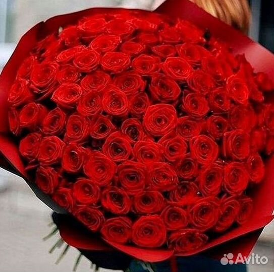 Розы Букеты Цветы Розы 31 101 151 201 Доставка