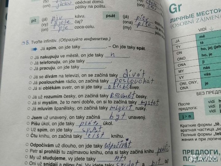 Самоучитель чешского языка