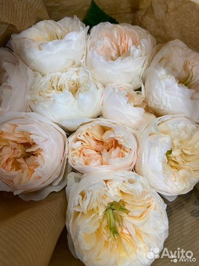 Пионовидная роза цветы букет