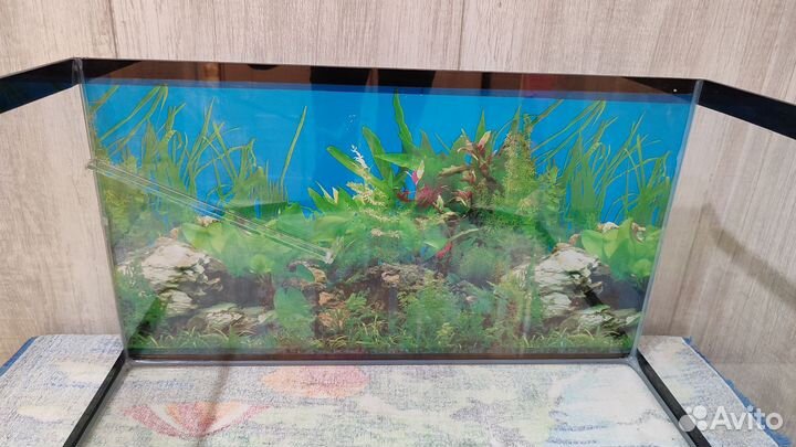 Террариум для красноухой черепахи