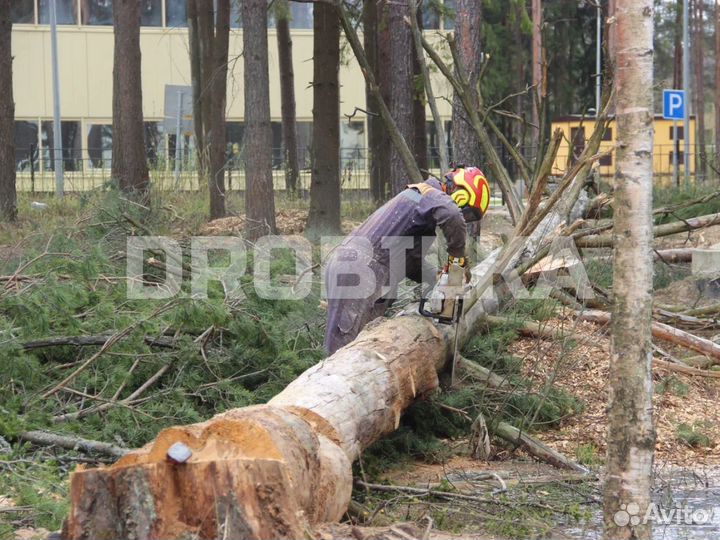 Расчистка участка / спил деревьев / удаление пней