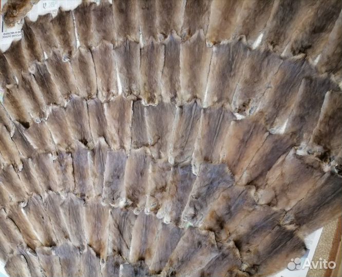 Мех ондатры