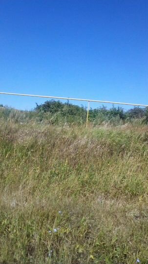 Участок 25 сот. (СНТ, ДНП)