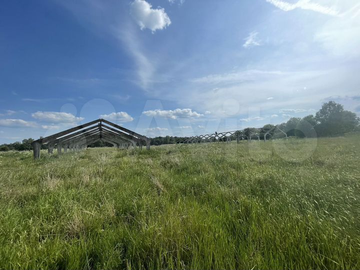 Участок 100 сот. (СНТ, ДНП)