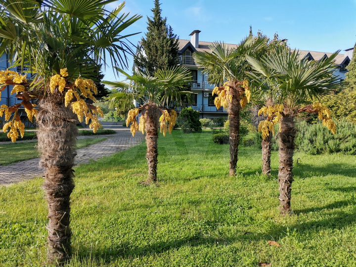 1-к. квартира, 33 м², 2/3 эт.