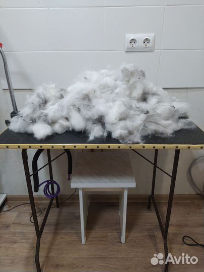 Шерсть шпица