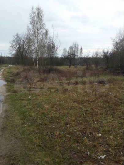 Участок 40 сот. (ИЖС)