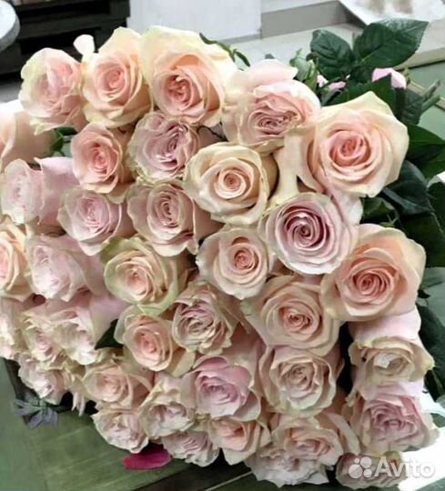 Розы, букет цветов 51 шт