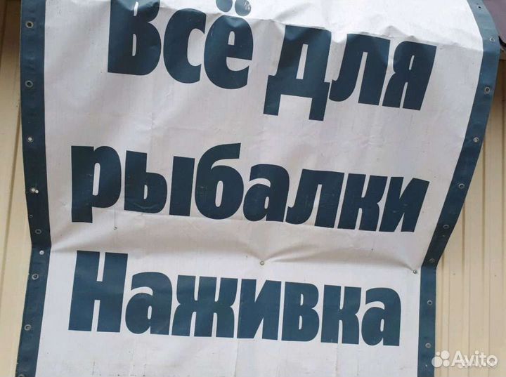 Тюлька замороженная